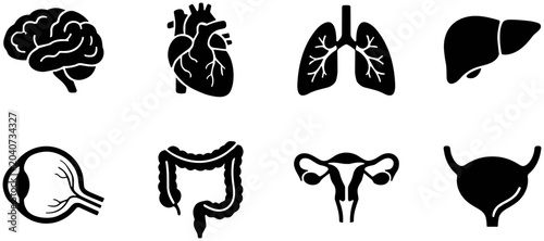 Fotografía Set of black and white human internal organ icons.