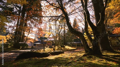 Autumn Scenery of Koyasan, Koya Town, Wakayama, Japan　「高野山の秋景色」和歌山県高野町