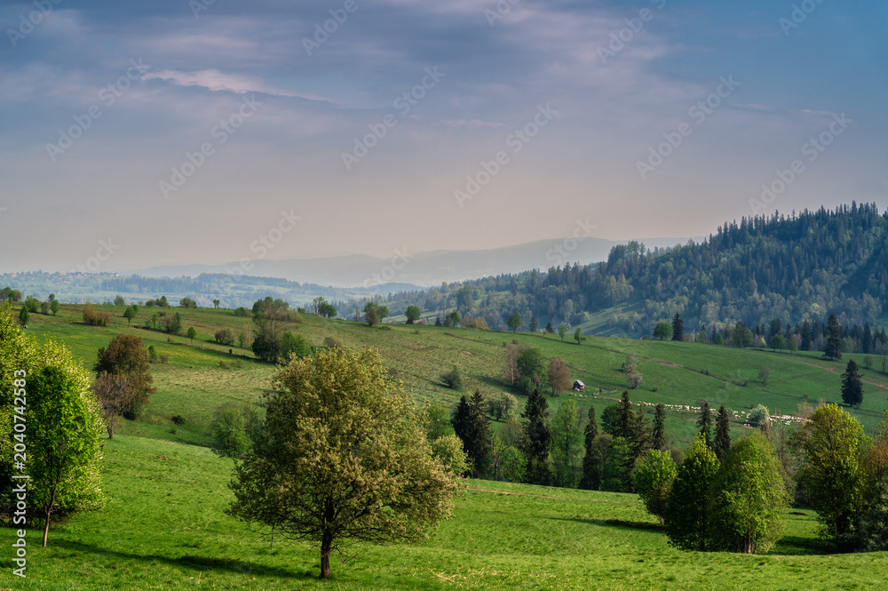 Fototapeta premium Zakopane Valley Landscape with Green Meadows and Distant Mountains