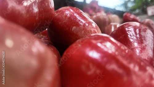 Photo of fresh red water apple fruit