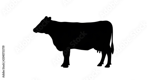 Black silhouette of a standing horse with flowing mane and tail animal
