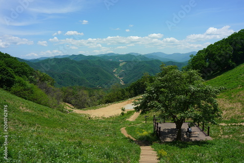 Scenery at Mindungsan Mountain in Korea