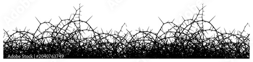Tableau sur toile Thorny branches and briar bushes tangled border black silhouette vector illustra