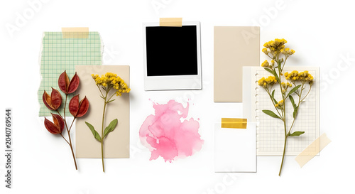 Autumn Botanical Collage: A whimsical collage featuring pressed autumn leaves, dried wildflowers, a blank instant photo frame, and watercolor splashes, evoking a nostalgic and creative aesthetic.