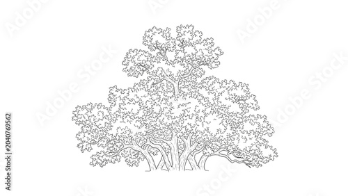 Foto 2D CAD Vector illustration of a large tree with sprawling branches and leaves