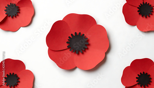 Red Paper Poppy Flower Art
