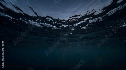 The dark surface of the ocean as seen from underwater