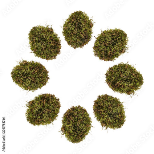 Green mossy balls arranged in a circular pattern