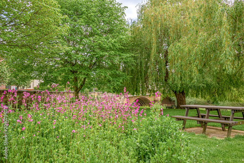 A public park beside a river with flowers in the foreground and a bridge beyond.