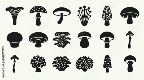 A collection of various mushroom illustrations.