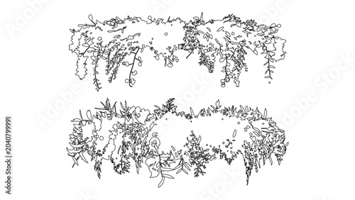 Decorative hanging plant vines outline for frames borders and design elements.