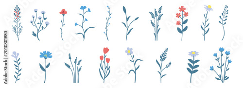 Foto Small wild flowers hand drawn vector set