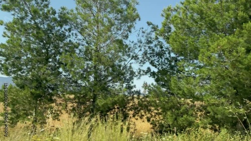 Driving plate look of cypriot nature landscape with green trees and bushes in dry summer field. Beautiful Kyrenia mountain range Besparmak or Girne scenery view.