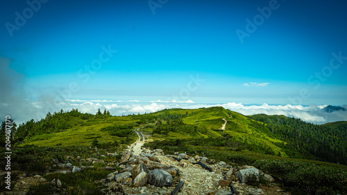 Schilderij op canvas A winding mountain trail across a green plateau above a sea of clouds