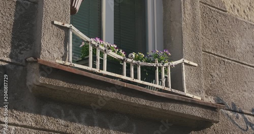 Flower box with blooming flowers on an old residential building window on a sunny day during Labor Day holiday.