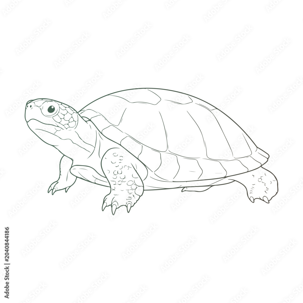 Fototapeta premium Cute Turtle Vector Illustration. Cartoon Sea Turtle Logo Design Mascot Template. Isolated Marine Animal Silhouette Graphic Art for Kids T-Shirt Print, Wildlife Branding, Icons, and Clipart.