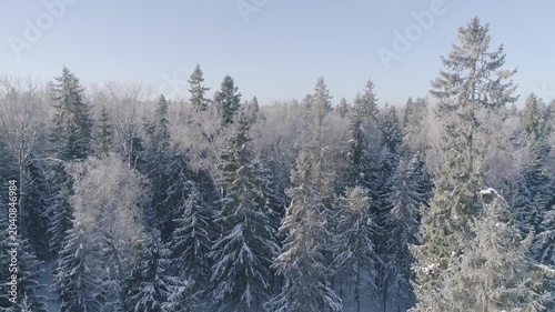 Drone rotating above snowy forest tops