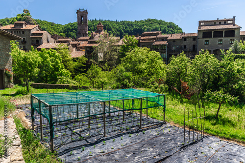 Bild auf Leinwand Vegetable garden in Rupit village, Catalonia, Spain, with young crops protected