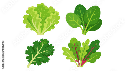 Obraz na płótnie Set of leafy green vegetables in flat vector illustration