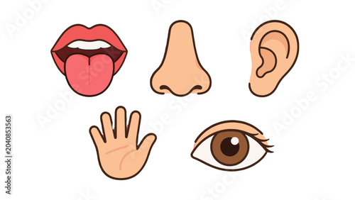 Five human senses icons with mouth nose ear hand and eye