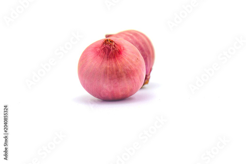 Bild auf Leinwand Shallots on a white background