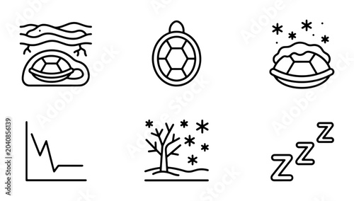 Bild auf Leinwand Turtle Hibernation Icons, Winter Sleep Vector Set, Animal Life Cycle Graphics
