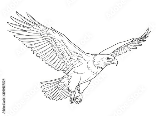 A bald eagle soars through the air with its wings fully extended. The majestic bird is in mid-flight, capturing a sense of freedom and power.