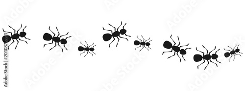 Tablou pe pânză Marching ant colony border banner animal teamwork illustration vector