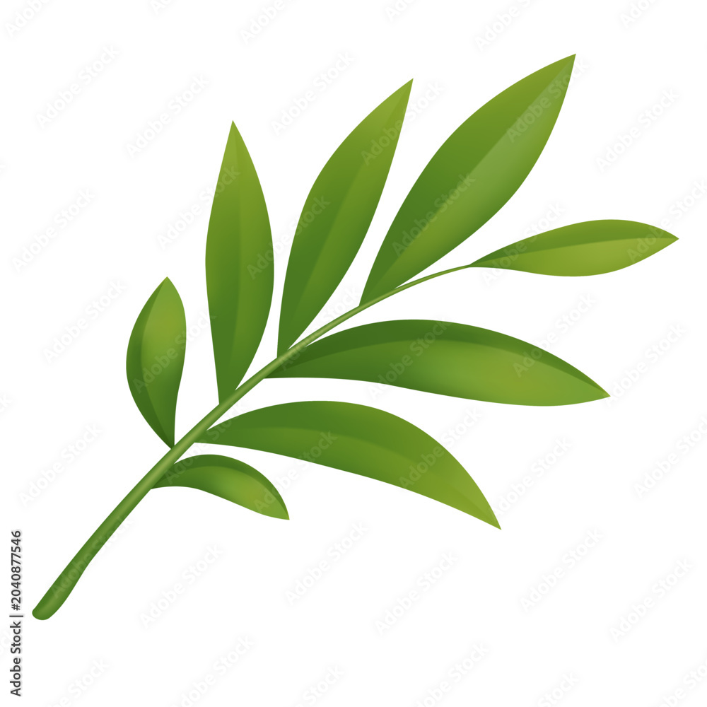 Fototapeta premium Realistic tropical green leaf branch isolated on white background. Decorative botanical element for summer designs, nature themes and eco projects.