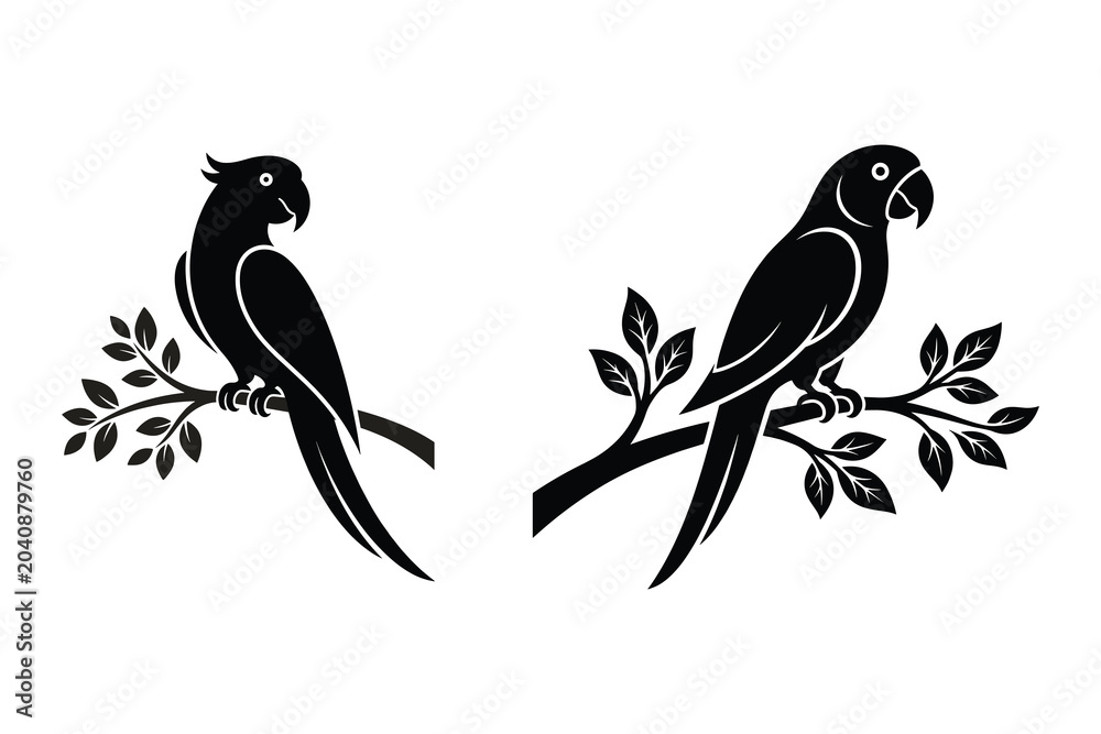 Fototapeta premium Two parrots sitting on branches, black and white vector illustration
