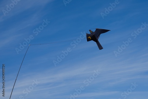 Fotografie Black hawk kite bird scarer flying in the blue sky on a flagpole