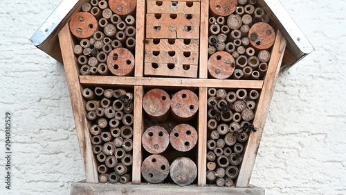 Insektenhotel