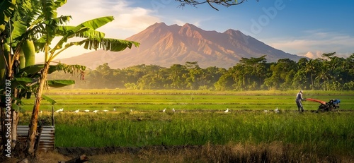 Stunning landscape photography of beautiful rice fields in Asia for nature wallpaper
