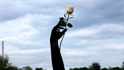 Fotografie Dark silhouette sculpture of an upraised hand holding a fresh pale pink rose flo