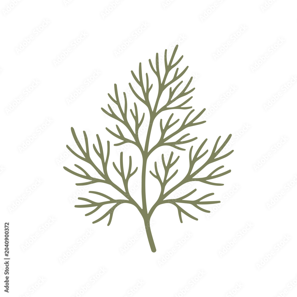 Fototapeta premium Green leafy branch with thin stems.