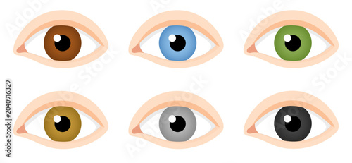 Tableau sur toile Different human eye colors vector illustration