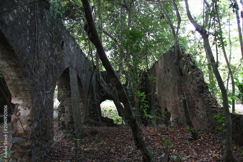 Bild auf Leinwand Ruines de l'usine sucrière de Soulou, à Mayotte