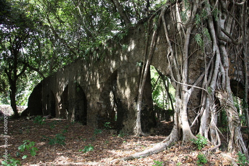 Bild auf Leinwand Ruines de l'usine sucrière de Soulou, à Mayotte