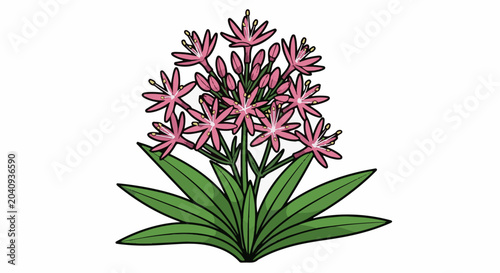 A vibrant illustration of a flowering plant with pink star-shaped blooms and green leaves