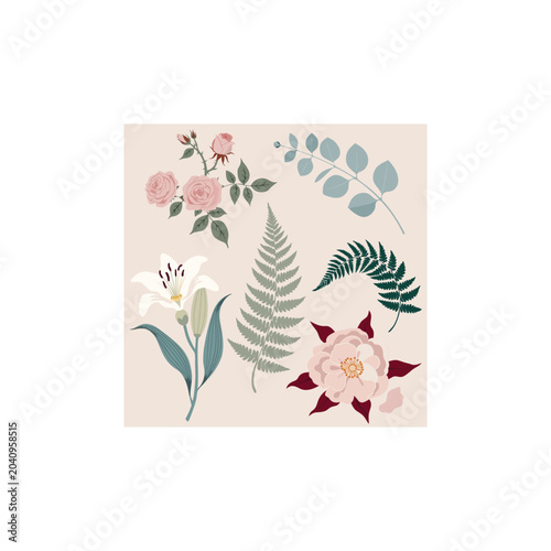 Elegant botanical illustration bundle with roses and lily vector