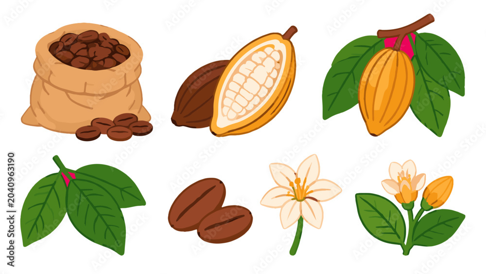 Obraz premium Cocoa plant elements with beans pods leaves and flowers vector set