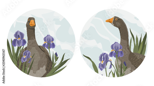 Tableau sur toile Domestic goose Anser anser domesticus vector badges set
