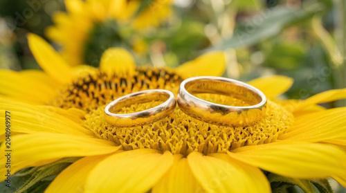 Wedding rings resting on sunflower petals symbolizing Summer Wedding Season  