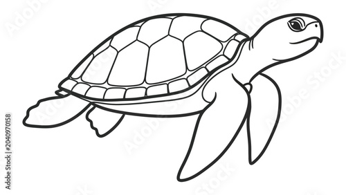 Fotografie Detailed sea turtle shell pattern line drawing illustration