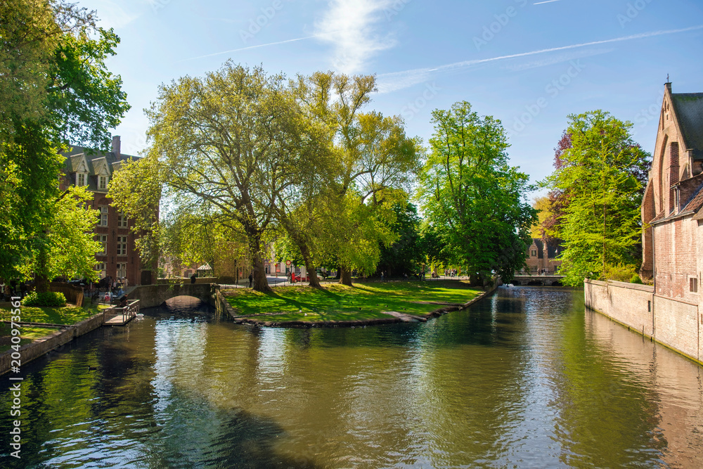 Fototapeta premium Morning view of canals and historic houses in Bruges