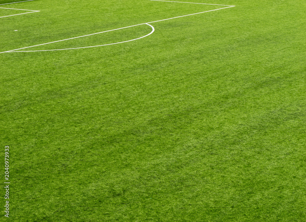 Obraz premium Green soccer field with curved white line