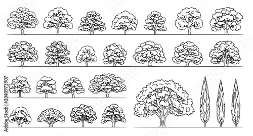 Foto Variety of trees collection black and white line art for landscape design