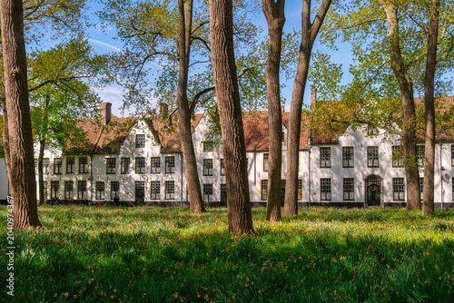 Historic Houses Among Spring Trees in Bruges Belgium