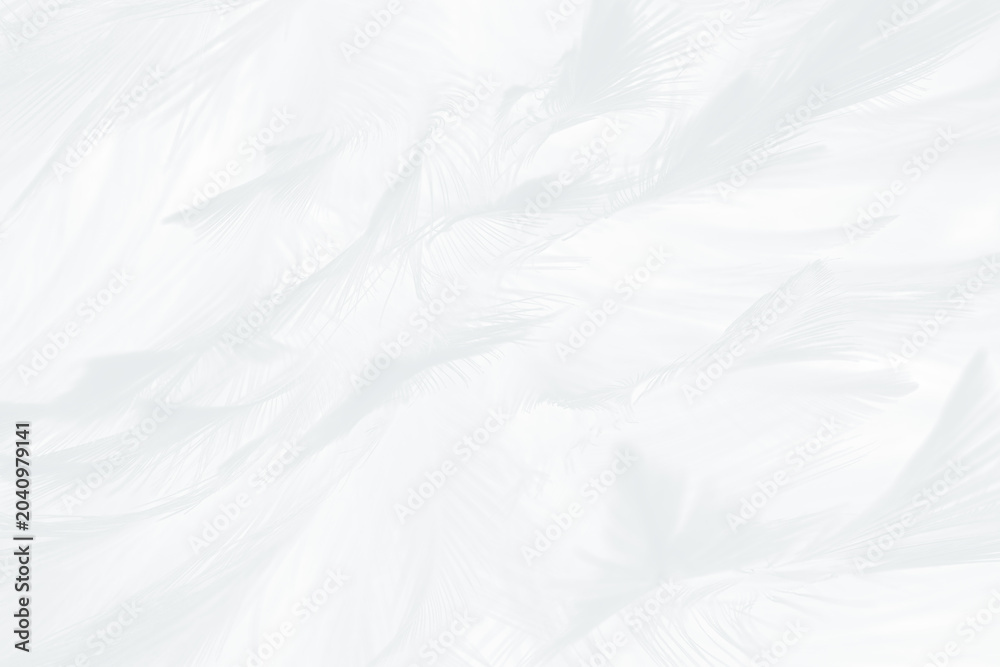 Obraz premium Beautiful white gray feather wooly pattern texture background