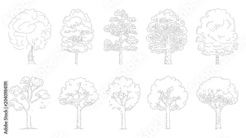 Canvas-taulu ten trees in line drawing style botanical nature sketch illustration black white